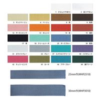 日本紐釦貿易(Nippon Chuko) 日本紐釦貿易 カラフルポリテープ 30mm幅×10m巻 ベージュ MHP3010-6（直送品）