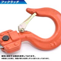 ALRHIDAXレバーホイスト　1.0t　KV010　1台（直送品）