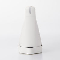 無印良品 衣類ハンディスチーマー MJ-IHS1 良品計画