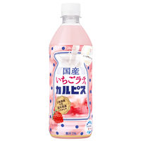 アサヒ飲料 国産いちごラテ＆カルピス 500ml 1箱（24本入）