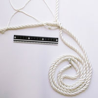 まつうら工業 多目的ナイロンネット 約3.6X5.4m(12帖相当) NRNT-3654 1枚