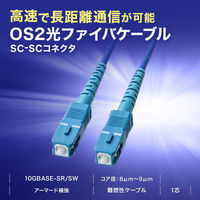 サンワサプライ アーマード1芯光ファイバケーブル（シングルモード、SC-SC、2m） HKB-AM1SCSC1-02 1個（直送品）