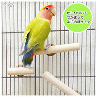 ペッズイシバシ クオリス ボルダリング 直径18 長さ180mm 2本入り 107098 1個（直送品）