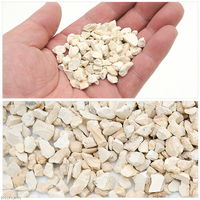 リーフ ゼオライトの根腐れ防止剤 1L×3個 221283 1個（直送品）