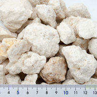 ＣＰＦａｒｍ 国内洗浄済み　Ｃ．Ｐ．Ｆａｒｍ　ｆｏｓｓｉｌ　ｃｏｒａｌ　化石サンゴメディア　Ｌサイズ　１ｋｇ　カルシウムリアクター用（直送品）