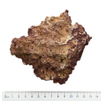 (株)リーフ Leaf Corp ジュラシックリーフロック ライブロック S(~700g) 1個 形状お任せ 264071（直送品）