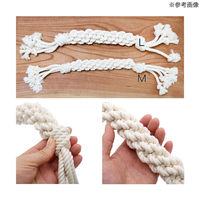 リーフ あみあみつなひきコットンロープ M 中型犬 大型犬用 264672 1個（直送品）