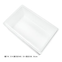 生体梱包資材 発泡スチロール箱　本体のみ　フタなし（幅７４．０×奥行き４６．０×高さ３８．９ｃｍ） 291453 1個（直送品）