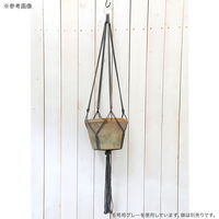 リーフ マクラメプランツハンガー 6号用 ホワイト 120cm 899570 1個（直送品）