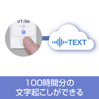 ソースネクスト AutoMemo (オートメモ) 100時間チャージ(通常版) 0000295510 1個
