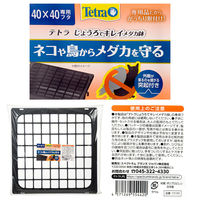 テトラ じょうろでキレイメダカ鉢　４０×４０　専用フタ 286913 1個（直送品）