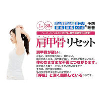 文響社 ハーバード&ソルボンヌ大学の最先端研究から考案! 肩甲骨リセット 1376 1冊（直送品）