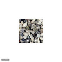 リーフ No.23 Blizzard(ブリザード) 3リットル(30cm水槽用) 18414 1個（直送品）