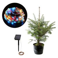 (株)リーフ Leaf Corp （観葉植物）クリスマスツリー　イルミネーション　ミックスカラー　もみの木（１本）（樹高５０～７０ｃｍ）（直送品）