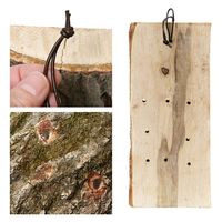 リーフ 原木ハンギングボード 壁掛けタイプ 大 1枚 930043 1個（直送品）