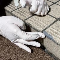 呉工業 KURE ゴリラ エポキシパテ 1781 1本