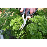 CANARY　家庭菜園はさみ●3個セット 4962069085519 1セット(3個入) 長谷川刃物（直送品）