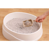 猫砂 クリーンサンド 鉱物タイプ ボタニカルソープの香り 5L 1袋 アイリスオーヤマ