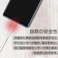 エアージェイ 発火を防ぐPTC TYPE-C to Cケーブル3M UKJ-PCTC 3M 1本