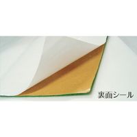 TTC 芝生マット シール付 300×330mm ライトグリーン 40-0340 1枚