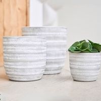 杉田エース D&M depotトライバルポット グレー φ16.5 CWJ956969 1セット(5個)（直送品）