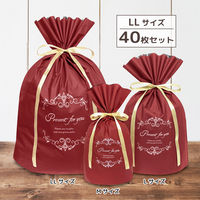 エスパック 梨地リボン付ギフトバッグ 40枚入 LL ボルドー ハイグレード NRB-DRD-4 1セット(40袋)（直送品）