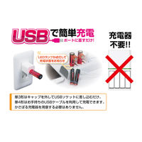 ヒーローグリーン USB充電式 リチウムイオン電池 単4形 HRE4-2P 1パック
