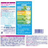 入浴剤 クール HERSバスラボ さっぱり保湿 うるおい炭酸湯 スーパークリングサマー 4種アソート 1箱（12錠入）白元アース
