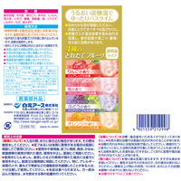 HERSバスラボ しっとり保湿 うるおい炭酸湯 4種のとれたてフルーツ 1箱（12錠入）発泡入浴剤 白元アース