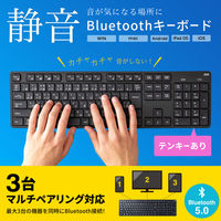 サンワサプライ 静音Bluetoothキーボード テンキーあり SKB-BT37BK 1個（直送品）