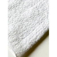 日繊商工 【名刺ポケット付袋】日本製の無地熨斗付きタオル(やや厚手=220匁=約68g) NP220-muji(30) 1箱(30枚入)（直送品）