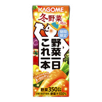 カゴメ 野菜一日これ一本 冬野菜Mix 200ml 1セット（48本）