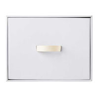 ベストコ 収納 ボックス 幅39×奥行53×高さ30cm ホワイト ND-9540 L39 Reuse Dan Box シリーズ 1個（直送品）