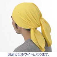 林 ロングフェイスタオル ホワイト(白) FC411310x8 1セット(5枚)