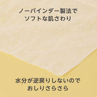 ソフライナー 1個（220枚入り） ピジョン