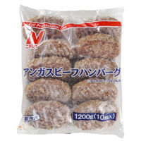 ニチレイ 業務用　アンガスビーフハンバーグ　1ケース　1200G(10コ)×5（直送品）