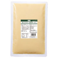 キスコフーズ ケ)業務用 カリフラワーのポタージュ 1ケース 1KG×10　冷凍（直送品）