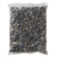 明華 ケ)業務用 殻付しじみ 300/500 1ケース 1KG×10　冷凍（直送品）