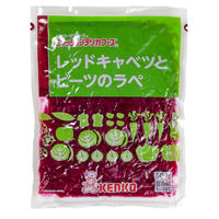 ケンコー 業務用 レッドキャベツとビーツのラペ 1ケース 500G×12　冷蔵（直送品）