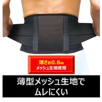 ピップ プロ・フィッツ サポーター 腰用 Lサイズ 4902522671866 1個