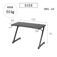 武田コーポレーション ゲーミングデスク USBポート付き B1-GMD120BK-2 １箱（直送品）