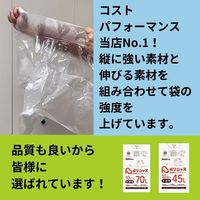 アンビシャス 120L半透明0.020mm厚10枚x40冊サラサラタイプ 4570109625122 1箱(400枚入)（直送品）