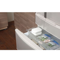 マーナ 極 冷凍ごはん容器 大 W K784W 1セット(2個入)