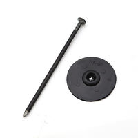 SNアグリーン 黒釘セット 10セット 2057960 1袋（直送品）