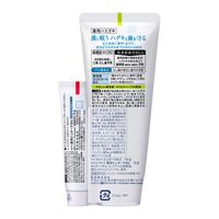 【アウトレット】【数量限定お得セット】 ピュオーラ 薬用ハミガキ マイルドハーブ 115g+ナノブライト美白ケアミニ付15g 1セット 花王