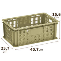 天馬 #樹脂と暮らすーR バスケットM 110013951 1個