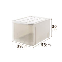 天馬 フェミーネ ケース53深型 110007023 1個