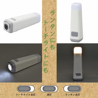 株式会社オーム電機 LEDファロスランタン USB充電式 08-1520 1個