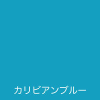 アトムサポート アトム フリーコート 0.7L カリビアンブルー 9050336 1缶（直送品）