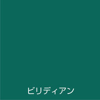 アトムサポート アトム 水性スプレー 100ml ビリディアン 9050714 1本（直送品）